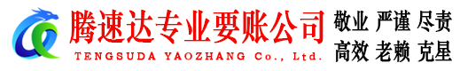 修水清债公司